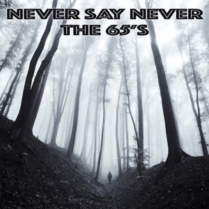 65's-Never Say Never