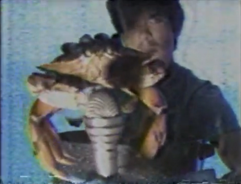 Enrico and the crab 2