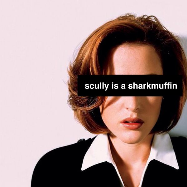 Sharkmuffin - "Scully is a Sharkmuffin"