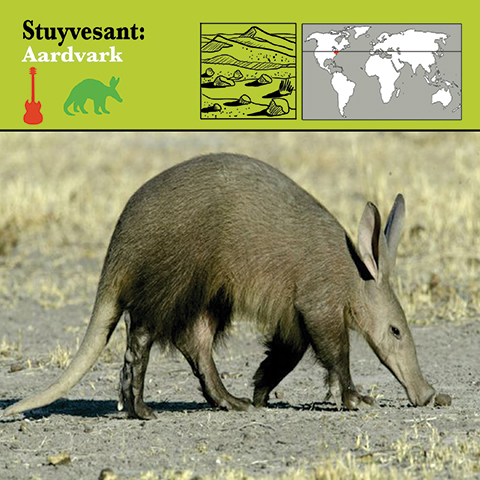 Stuyvesant - Aardvark