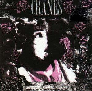 Cranes - Self Non Self