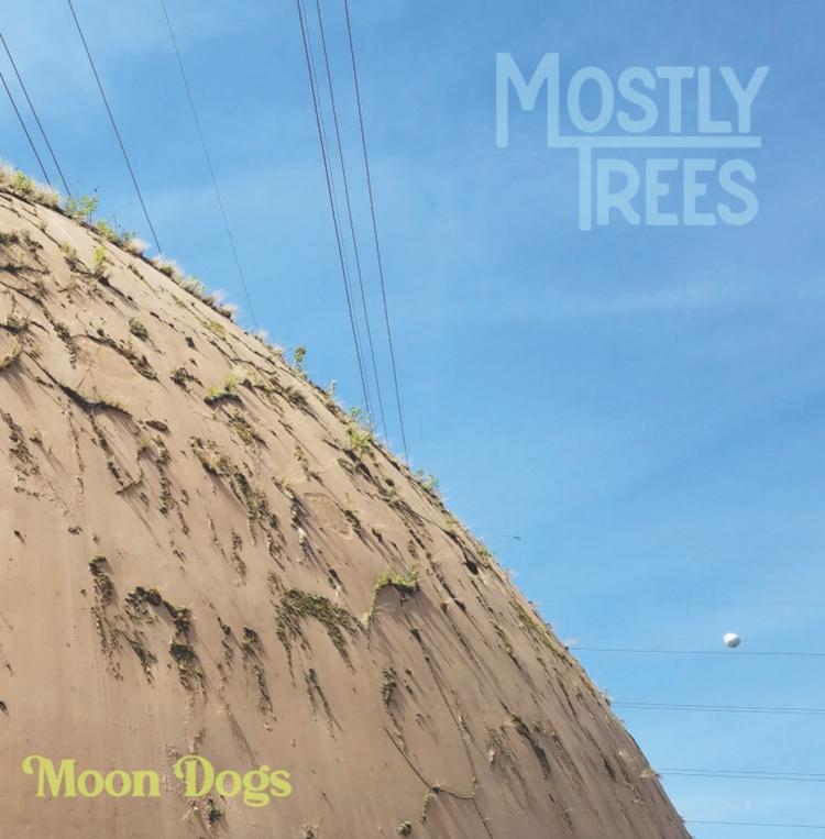 Mostly Trees - Moon Dogs | The Big Takeover