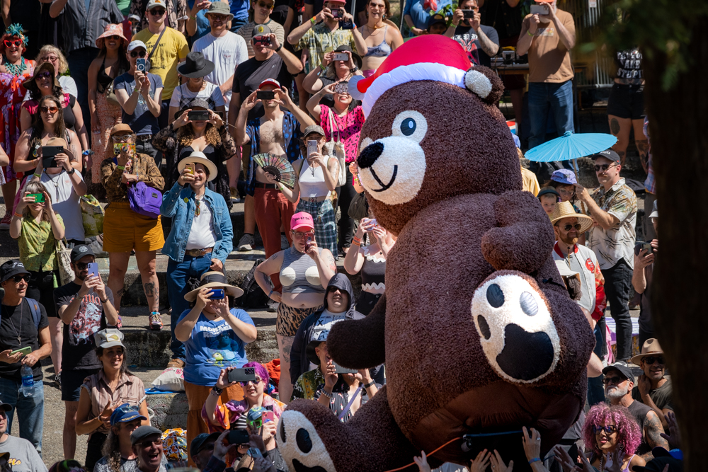 Teddy Bear Orchestra at Mosswood Meltdown, 2023